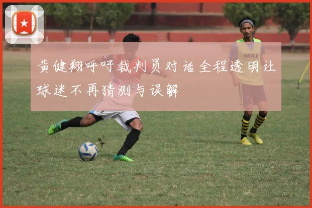 黄健翔呼吁裁判员对话全程透明让球迷不再猜测与误解