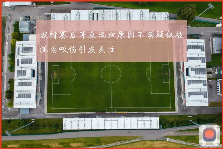 波特赛后耳朵流血原因不明疑似被抓或咬伤引发关注