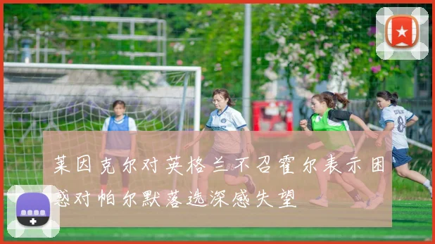 莱因克尔对英格兰不召霍尔表示困惑对帕尔默落选深感失望