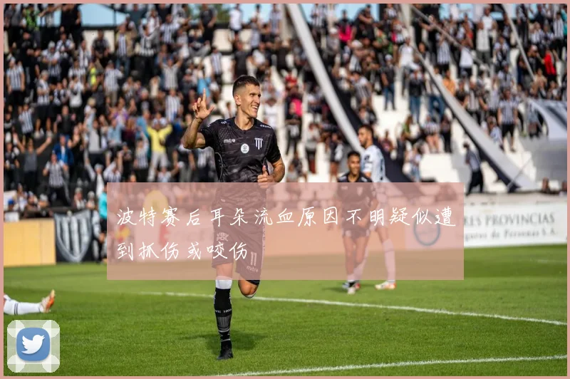 波特赛后耳朵流血原因不明疑似遭到抓伤或咬伤